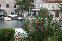 gal/cro 08/_thb_small-IMG_4810.JPG